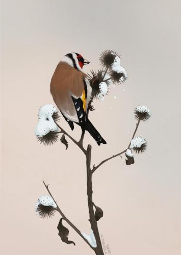 Goldfinch